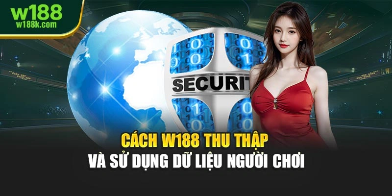 Cách W188 thu thập và sử dụng dữ liệu người chơi
