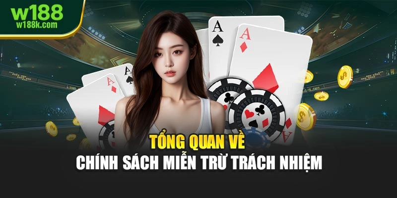 Tổng quan về chính sách miễn trừ trách nhiệm