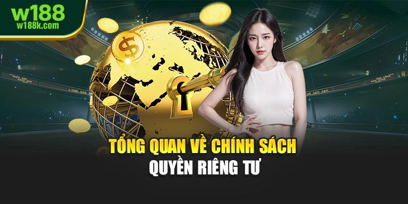 Tổng quan về chính sách quyền riêng tư