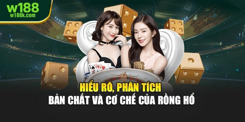 Hiểu rõ, phân tích bản chất và cơ chế của Rồng Hổ